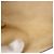 Louis Vuitton Twin Monogram Canvas PM Marrone - vista 5