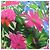 Borsa tote 2 in 1 in metallo con logo Prada e fiore Rosa - vista 27