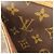 Borsa a Spalla Sologne Monogram Louis Vuitton Monogramma - vista 12