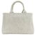 Borsa a mano Prada Canapa Mini 2 in 1 Marrone - vista 2