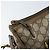 Borsa tote Gucci GG Supreme Web Sherry Line in PVC beige e oro 41 02 039 Auth 171911 D'oro - vista 10