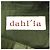 Autre Marque Chaqueta de algodón dahlia Verde Verde oliva - vista 7