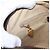 Borsa a Spalla Gucci GG Supreme Horsebit Web Sherry Line PVC Beige Oro Auth 169629 D'oro - vista 22