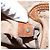 LOUIS VUITTON Borsa a Spalla Monogram Bucket PM M42238 LV Auth fm5105 Monogramma - vista 12