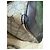 Gucci Pet Carrier Camel Canvas - view 6