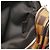 Borsa a Spalla Chapman Damier Amazon Louis Vuitton 2016 Marrone Damier ebene - vista 10