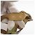 Python Wedge Sandalen von Salvatore Ferragamo Grün - Ansicht 9