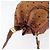 Borsa a Spalla MCM Vicetos Logogram in Pelle PVC Marrone Oro Auth 173576 D'oro - vista 6