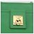 Céline Borsa a Spalla CELINE in Pelle Verde Oro Auth LNZ455A D'oro - vista 15