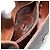 LOUIS VUITTON Bolso de Hombro Monogram Saint Cloud MM M51243 LV Auth ka2725 Monograma - vista 23
