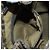 FENDI Zucca Canvas Rucksack Braun Gold Schwarz Auth 168310SAV Golden - Ansicht 29