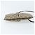 Borsa Sherry Line GG Supreme Web di GUCCI in PVC beige e oro 904 02 047 Auth ARZ346 D'oro - vista 9
