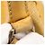 Noe LOUIS VUITTON Borsa a Spalla Petit Noé Epi Gialla M44109 LV Auth BA11042 Giallo - vista 12