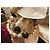 Bracciale catena doppia DOLCE & GABBANA con perle bianche, oro, nere Nero D'oro - vista 8
