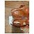 Sandali Gucci Jelly Logo GG Arancioni Arancione - Ansicht 10