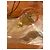 Sandali Gucci Jelly Logo GG Arancioni Arancione - Ansicht 4