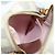 LOUIS VUITTON Borsa a Spalla Neocapie Damier Azur N60360 LV Auth 173117M - vista 23