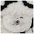 CHANEL Matelassé 25 Borsa a Spalla con Catena Mouton Bianco Argento CC Auth 172561SM - vista 14