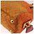 PRADA Borsa a Spalla Trapuntata con Catena Nylon Arancione Oro Auth BA11028 D'oro - vista 13