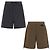 Dior Bermuda Shorts Braun