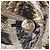 Louis Vuitton Jacke Golden - Ansicht 4