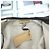 Burberry Felpa con cappuccio e zip in cotone carbone logo cavallo Marrone - vista 19