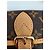 Louis Vuitton Borsa a tracolla Nano Diane Multicolore - vista 12
