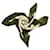Cartier Sciarpa Logo Khaki Marrone  - vista 3
