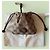 Gucci Portachiavi in tela GG Nano con charm per borsa Marrone - vista 4