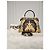 Versace Fendi Peekaboo Zusammenarbeit Pandache Schwarz - Ansicht 6