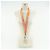 Burberry Collana in nylon arancione con logo Kingdom Bianco - vista 3