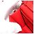 Borsa a Spalla Gancini in Pelle Rossa e Argento di Salvatore Ferragamo Auth BA10529 Rosso - vista 20