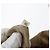 Borsa Tote Prada in nylon beige e oro Auth bs32789 D'oro - vista 11