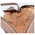 Sac Gucci GG Supreme Web Sherry Line en PVC beige et or 001 50 6655 Auth ARZ347 Doré - vue 18