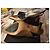 Free Lance Jaspe Slingback Pumps Bronze Leder - Ansicht 3
