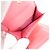 Billetera Tri-Fold Chanel 19 Línea AP0954 Rosa - vista 7
