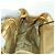 Zaino in pelle Bottega Veneta oro Auth 172406V D'oro - vista 23