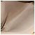 Gucci Borsa tote Micro GG Supreme in PVC beige e oro 002 58 0054 Auth ki6529 D'oro - vista 11