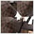 Borsa Louis Vuitton Damier Sistina PM Marrone - vista 9