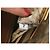 BORSA PRADA GRAND GALLERIA GM IN PELLE GRAIN SAFFIANO ORO Cammello - vista 13
