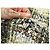 ABITO CHANEL P62392V47991 38 M ABITO IN TWEED A QUADRI MULTICOLOR 2000S - vista 12