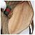 Borsa Gucci GG Supreme Web Sherry Line in PVC Beige Oro 89 02 032 Auth ARZ240 D'oro - vista 11