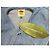 Camicia in denim Farm Rio con colletto Peter Pan blu - vista 5
