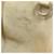 Céline Borsa Celine Big Bag Small 2 in 1 Beige Grigio - vista 10