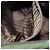 PRADA Shoulder Bag Nylon Khaki Silver Auth bs33303 Silvery - view 22