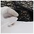 Borsa a Spalla in Tela Trotter Christian Dior Blu Navy Oro Auth fm5214 D'oro - vista 4