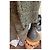 Autre Marque Abrigo de tweed con cuello de solapa Castaño Multicolor - vista 8