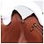 LOUIS VUITTON Clutch Marly Dragonne GM Monogram M51825 LV Auth BA10933 Monogramma - vista 20