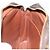 LOUIS VUITTON Clutch Compiegne 28 M51845 LV Auth BA10976 Monogramma - vista 20