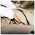 LOUIS VUITTON Borsa a Spalla Damier Geant Sitadan MM Marrone M93040 LV Auth 174035 - vista 12